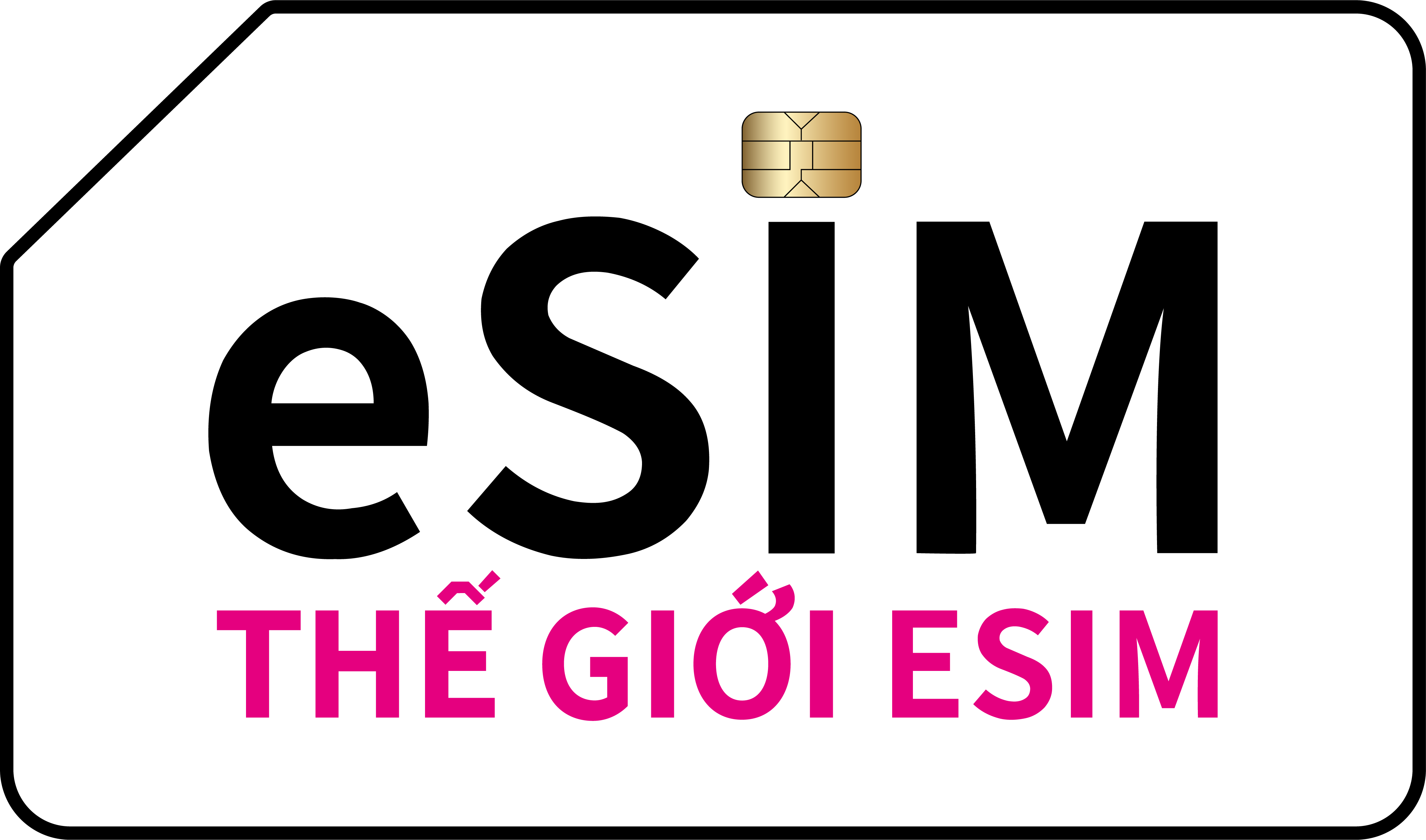 eSIM Logo