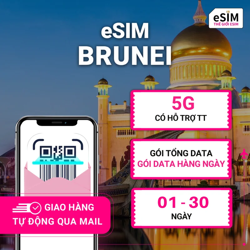 eSIM Brunei | DST | 5G | Gói Data hằng ngày/ Tổng Data 500MB - 30GB | 01 - 30 ngày | Mã QR