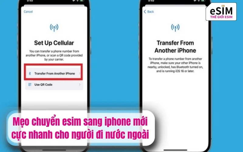 Mẹo chuyển esim sang iphone mới cực nhanh cho người đi nước ngoài