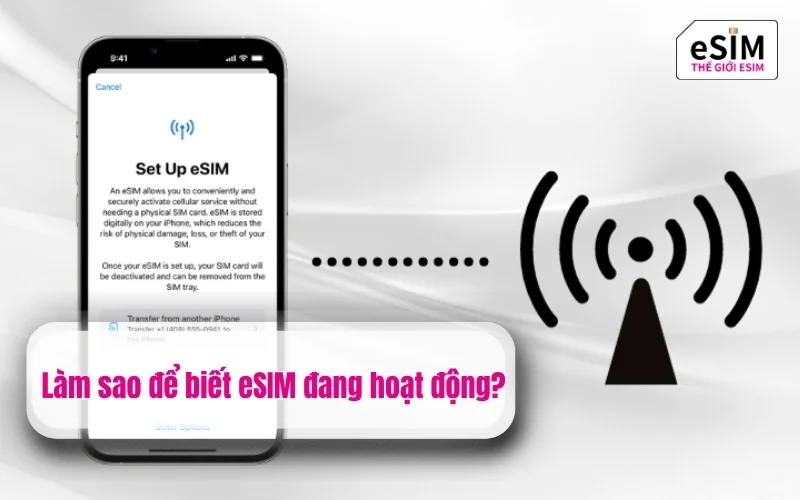Làm sao để biết eSIM đang hoạt động?