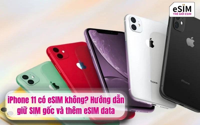 iPhone 11 có eSIM không? Hướng dẫn giữ SIM gốc và thêm eSIM data