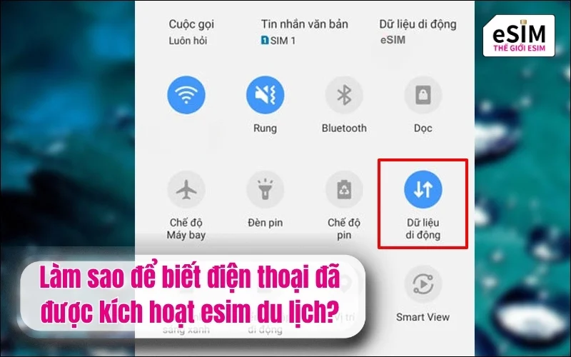 Làm sao để biết điện thoại đã được kích hoạt esim du lịch?