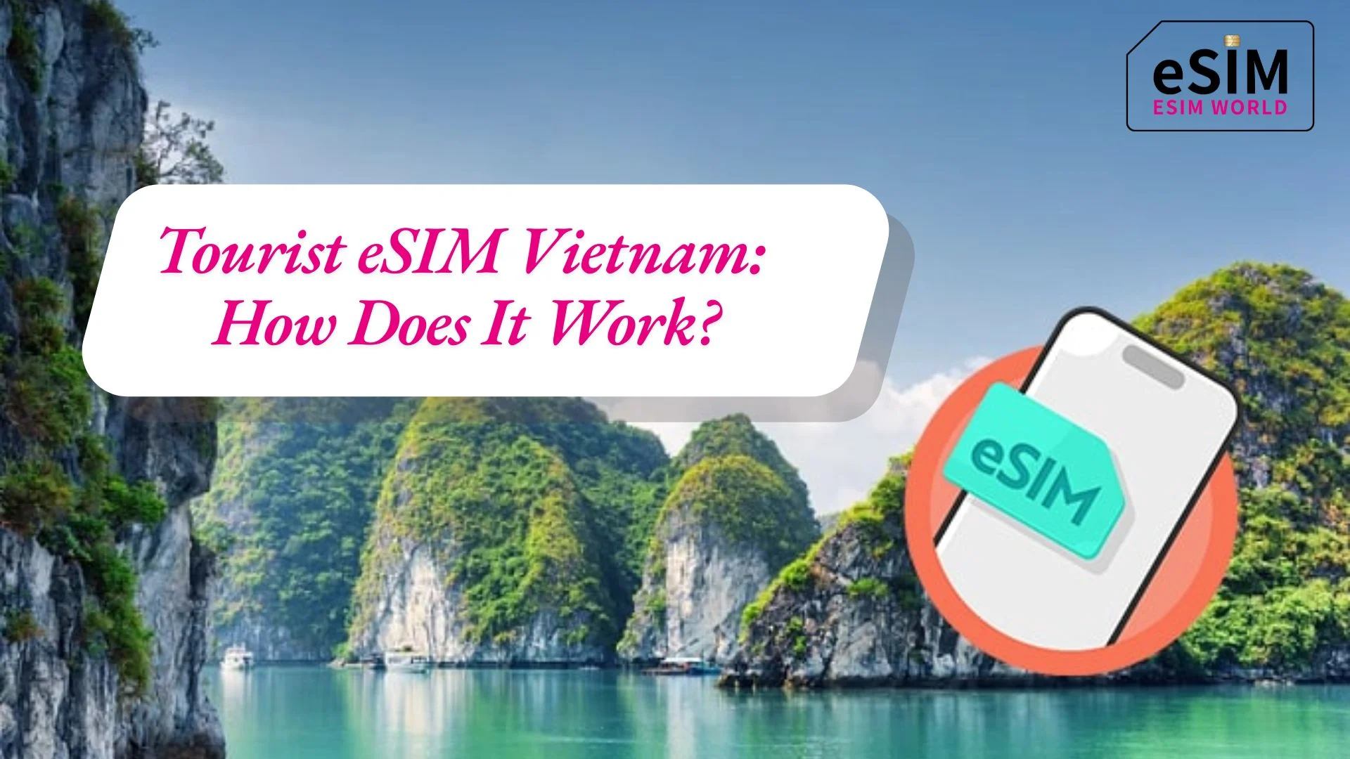 Tourist eSIM Vietnam: How Does It Work?