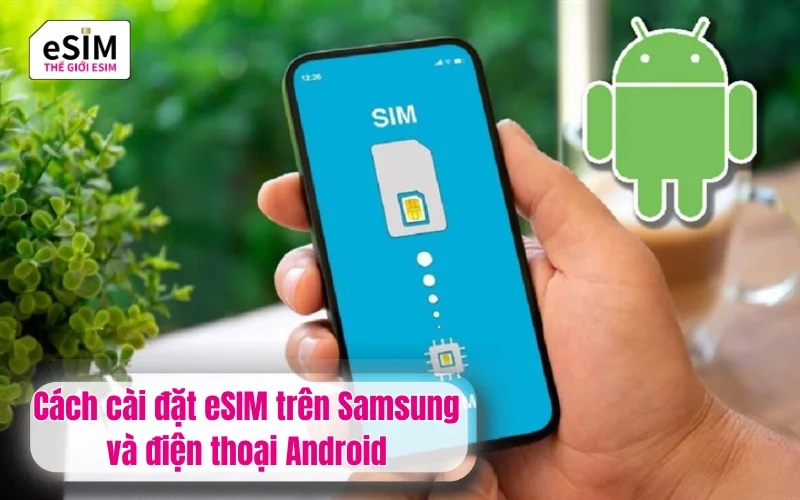 Cách cài đặt eSIM trên Samsung và điện thoại Android