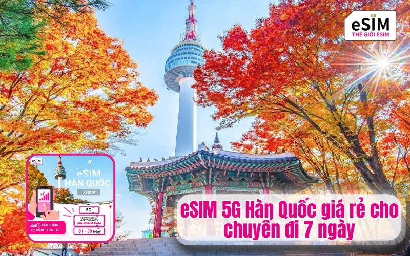 eSIM 5G Hàn Quốc giá rẻ cho chuyến đi 7 ngày