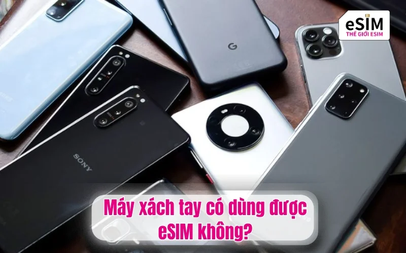 Máy xách tay eSIM có dùng được không các bác?