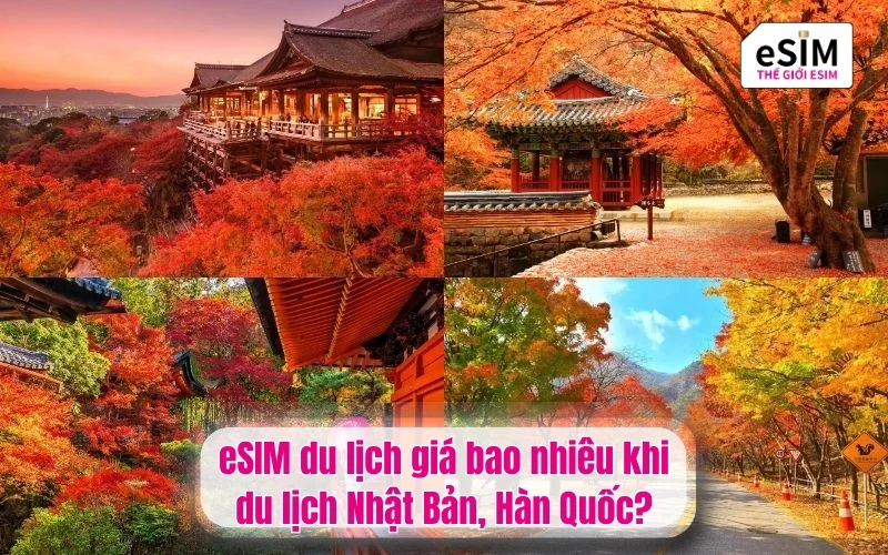 eSIM du lịch giá bao nhiêu khi Nhật Bản, Hàn Quốc?