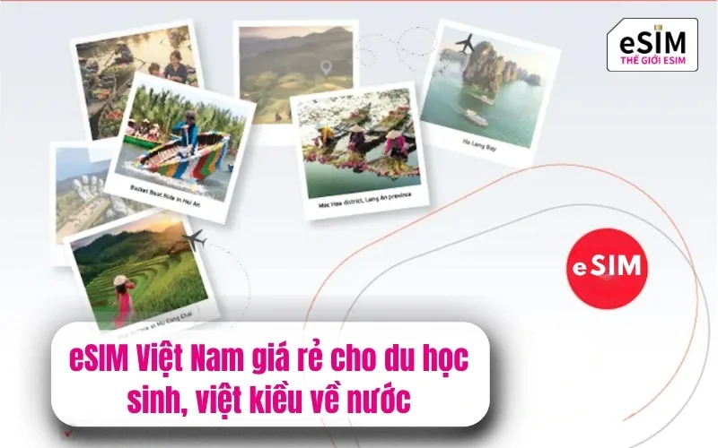 eSIM Việt Nam giá rẻ cho du học sinh, việt kiều về nước