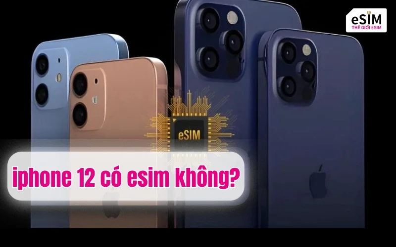 iPhone 12 có eSIM không?