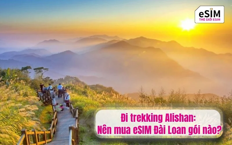 Đi trekking Alishan: Nên mua esim đài loan gói nào?
