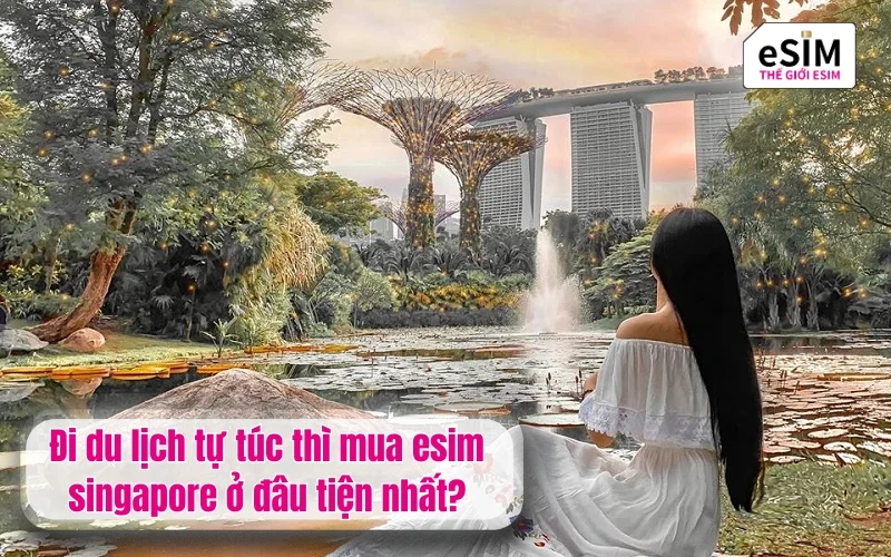 Đi du lịch tự túc thì mua esim singapore ở đâu giá rẻ