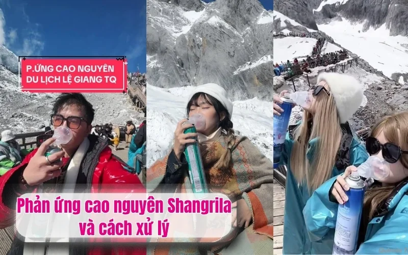Phản ứng cao nguyên Shangrila và cách xử lý