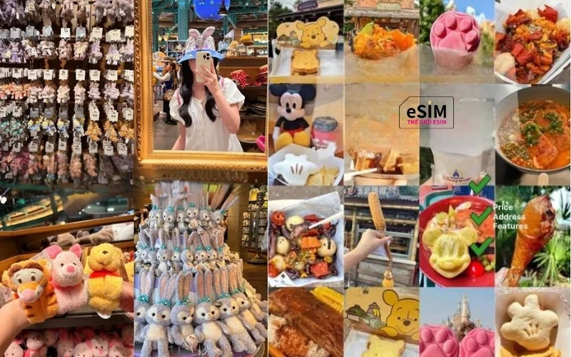 Disneyland-thuong-hai-7-6aa4b28ae2c7b.webp