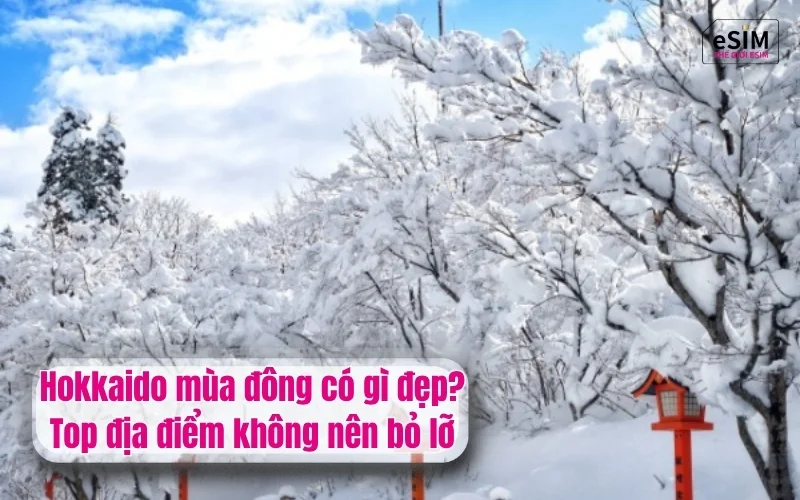 Hokkaido mùa đông có gì đẹp? Top địa điểm không nên bỏ lỡ