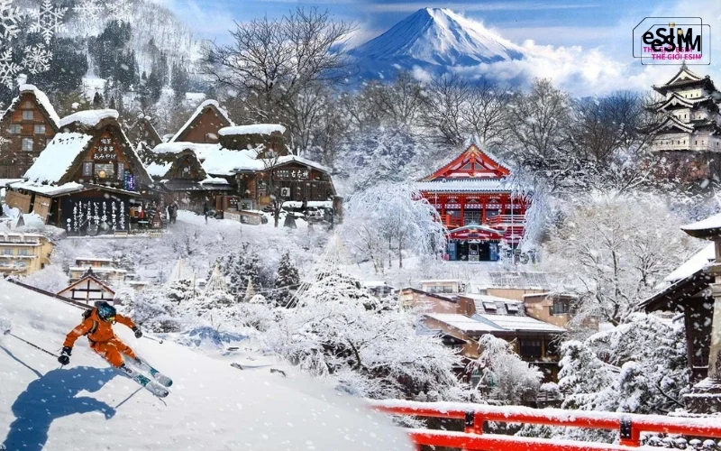 Hokkaido-mua-dong-2-6aa4f1204afad.webp
