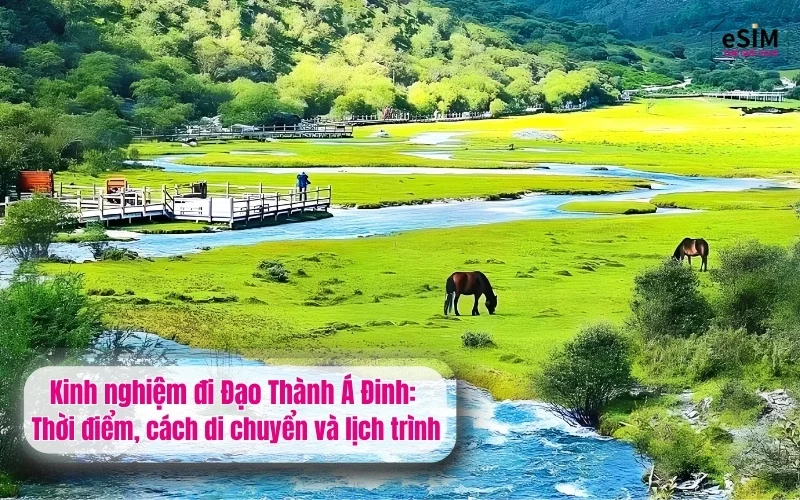 Kinh nghiệm đi Đạo Thành Á Đinh: Thời điểm, cách di chuyển và lịch trình