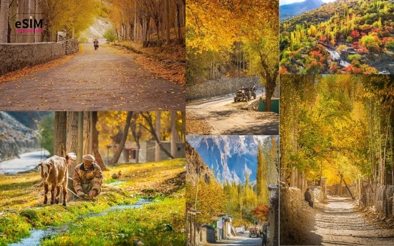 du-lich-Pakistan-10-6a9f602077fcc.webp
