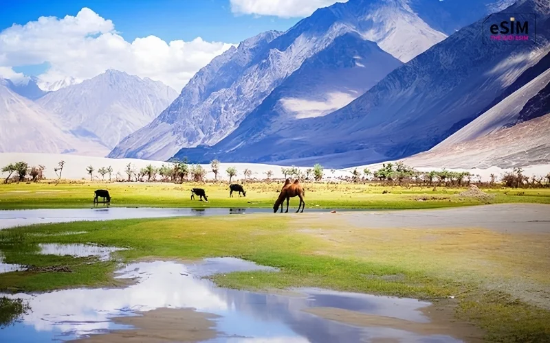 du-lich-ladakh-2-6ade2fbc1108e.webp