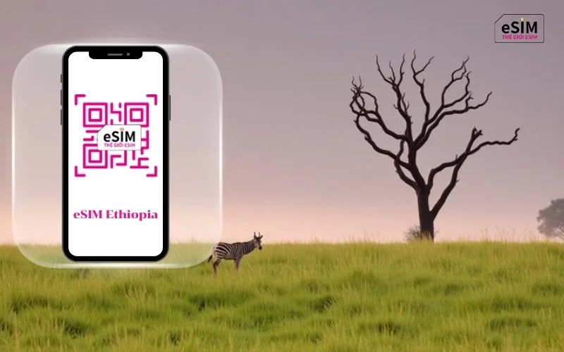 eSIM Du Lịch Ethiopia cung cấp kết nối tiện lợi, giúp bạn chủ động sử dụng internet trong suốt chuyến đi