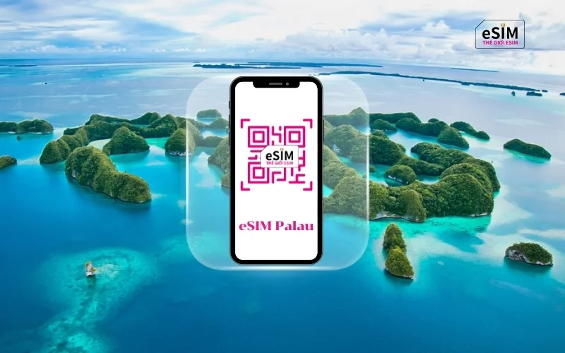 eSIM Du Lịch Palau giúp kết nối Internet thuận tiện, nhanh chóng trong suốt hành trình khám phá đảo quốc