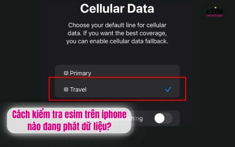 Cách kiểm tra esim trên iphone nào đang phát dữ liệu?