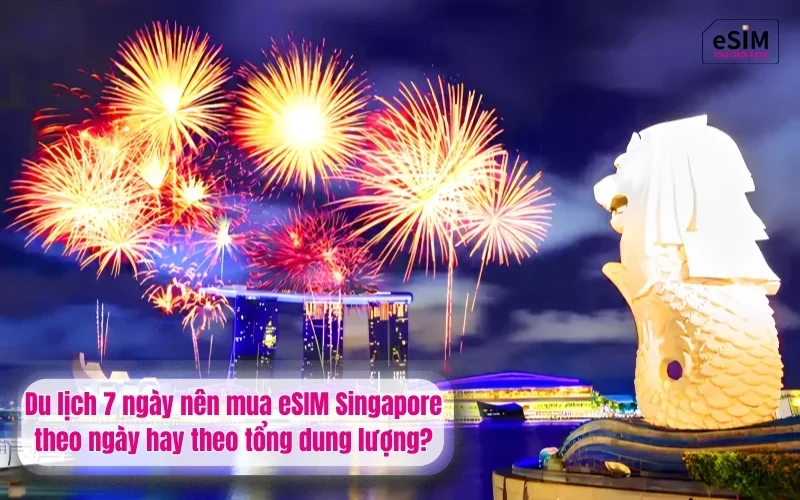 Du lịch 7 ngày nên mua eSIM Singapore theo ngày hay theo tổng dung lượng?