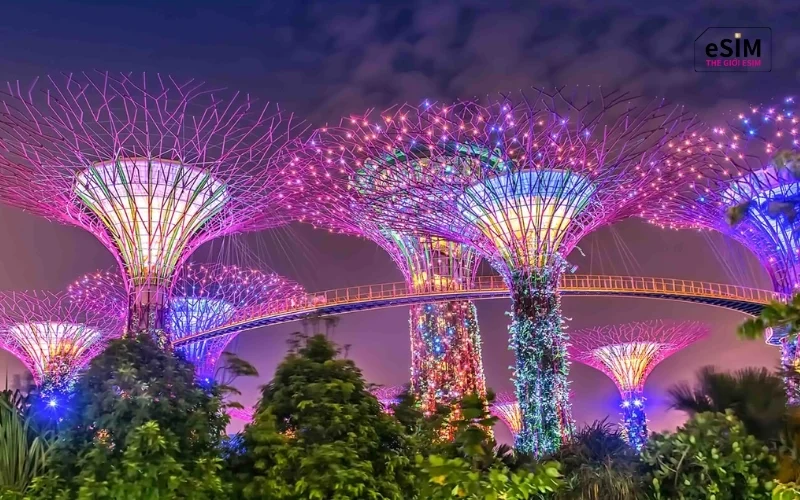 thang-9-nen-di-du-lich-han-quoc-hay-Singapore-5-6aa4baaf3ae64.webp
